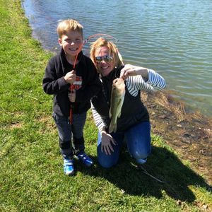 Meet your Posher, Betsy